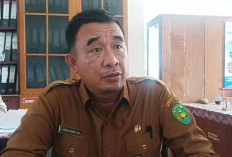 Pemkot Bengkulu Sarankan Masyarakat Untuk Lakukan Tanam Pangan Cepat Panen