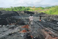 Ada Apa dengan Kejati Bengkulu Belum Mengusut Tambang PT. Injatama?