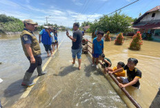 Atasi Banjir Langganan, Dedy Wahyudi Gaet Gubernur Bengkulu Benahi Rawa Makmur