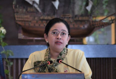 Idul Adha  Jadi Momentum Perkuat Solidaritas dan Kepedulian Sosial