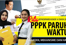 PPPK Paruh Waktu Resmi Ditetapkan, Upah Disesuaikan dengan Anggaran Instansi