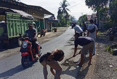 Momen HUT ke-22 Kabupaten Mukomuko, Warga Penarik Perbaiki Jalan Berlubang Secara Swadaya