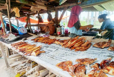 Selain Ikan Asap, Ada Cumi Asap Ciri Khas Makanan Masyarakat Pesisir Kaur Bengkulu