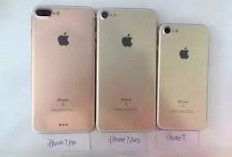 6 Daftar Hp Seken Murah dan kualitas yang mumpuni, harga cuma Rp. 2 Jutaan saja termasuk iPhone 