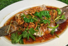 Resep Ikan Kerapu kukus Ala Chinese Food Lebih Enak dan Sehat
