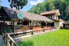 Sejuk dan Asri! Yuk Cobain 3 Tempat Makan di Citengah Sumedang yang Lezat dan menawarkan Wisata Desa yang Inda
