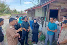 DPRD Kaur Sepakat Menutup Sementara Perusahaan Akar Kuning