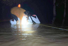 Banjir di Seluma Hanyutkan Mobil Warga Kota Bengkulu