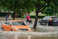 Mobil Manual atau Mobil Matic yang Lebih Kuat Terjang Banjir, Ini Faktanya
