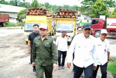 Wagub Bengkulu Sidak Pabrik Sawit, Harga TBS Diobral dan Limbah Semrawut