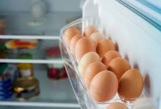 Simak Bund, Begini Tips Menyimpan Telur dengan Benar Baik dalam Kulkas atau di Suhu Ruang
