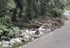 Tiga Kali Sepekan, Petugas Kebersihan Wajib Sasar Lokasi Sampah Liar