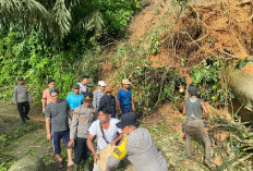 Polres Kaur dan Masyarakat Sigap Tangani Longsor dan Pohon Tumbang