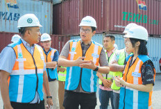 Tim Korea Selatan Jajaki Kerjasama Riset Hutan Mangrove di Pulau Baai dan Perikanan