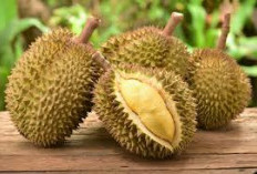 Enak dan Harum, Berikut Ini 3 Tempat Makan Durian Yang Wajib Dicoba Di Bekasi