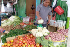 Harga Tomat Naik di Bengkulu, Daya Beli Warga Menurun