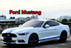 Info Harga Mobil Klasik Ford Mustang Bekas Berbagai Typer, Fitur Modern dan Masih Bertenaga