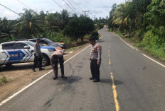 Honorer Kantor Camat Talo Kecil Tewas Tertabrak Bus