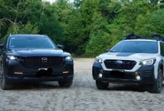 Perbandingan Mobil Mazda CX-50 vs Subaru Outback: Mana Crossover yang Lebih Serbaguna?