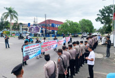 Audiensi Gagal, Petani Sawit Bengkulu Kecewa Harga TBS Tak Juga Direalisasikan