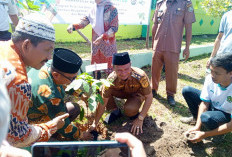 Gerakan Penanaman Satu Juta Pohon Matoa, Kemenag Kaur Ajak Melestarikan Lingkungan