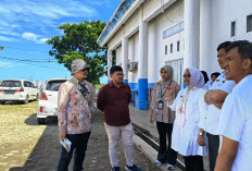 Site Visit Penyusunan Studi Kelayakan Proyek Investasi di Kabupaten Kaur