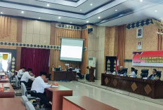 Tujuh Pejabat Eksternal Berebut Jadi Pejabat Strategis di Pemprov Bengkulu