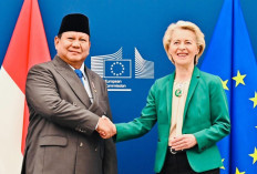 Indonesia Raup Untung dari IEU-CEPA