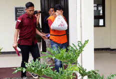 Pengusaha di Bengkulu Utara Resmi Ditahan Atas Dugaan Penggelapan Pajak Rp 186 Juta