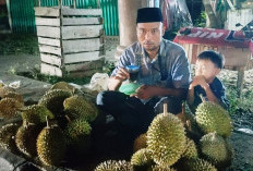 Banjir Durian, Hanya Segini Harganya di Kabupaten Seluma