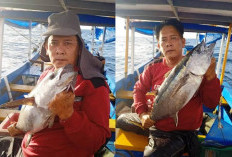 Ini 53 Istilah di Dunia Mancing yang Penting Dihafal Seorang Pemancing, Istilah Ini Belum Banyak yang Tahu 