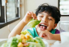 4 Makanan Sehat Kaya Zat Besi Untuk Mencegah Anemia Defisiensi Besi Pada Anak