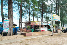 Dinas Pariwisata Provinsi Bengkulu Mulai Tata Kawasan Pantai Panjang