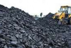 Sumsel Pertimbangkan Izin Sementara Angkutan Batu Bara Menuju PLTU Bengkulu