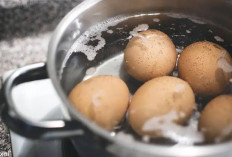 8 Tips Memasak Telur agar Tetap Bernutrisi: Cara yang Sering Dilupakan