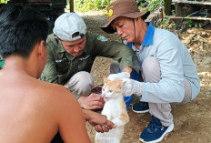 Waspada Rabies, Tercatat Ada 156 Kasus Gigitan