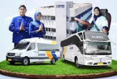 DAMRI Buka Lowongan Pekerjaan Untuk Lulusan S-1, Maksimal Umur Pendaftar 45 tahun