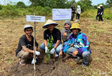 Keberlanjutan Program Konservasi Gajah Sumatra, Hutama Karya Siapkan 7000 Bibit Pohon Pakan Alami