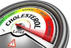 Kolesterol Tinggi, Konsumsi 6 Makanan Sehat Ini