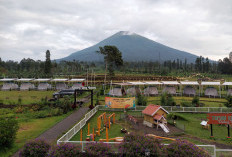 Bingung Cari Tempat Liburan? Yuk Kunjungi 3 Tempat Wisata di Temanggung Ini