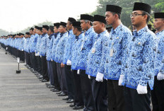 Pertumbuhan Ekonomi Bisa Terancam, Dampak Penundaan Pengangkatan CPNS 2024 Sampai Oktober
