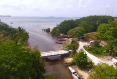 Ribuan Masyarakat Adat Pulau Enggano Terancam Terisolir