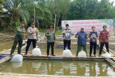 20 Ribu Bibit Ikan Lele Dilepas di Lawang Agung Seluma