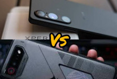 Sony Xperia 1 V vs Asus ROG Phone 7: Ponsel dengan Kualitas Audio Premium