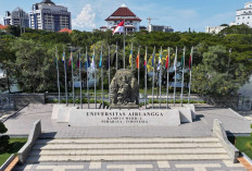 Universitas Airlangga dan BPDP Perkuat Pondasi Kemandirian UMKM