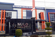 Penyaluran Bansos Beras 10 Kg Kembali Dimulai Agustus 2024