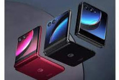 Motorola Luncurkan Seri Razr 50 Terbarunya Pada 25 Juni Secara Global