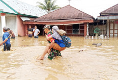 DAS Bermasalah Menjadi Pemicu Bencana Banjir di Provinsi Bengkulu