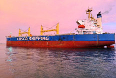 MV Xin An Ping Jadi Kapal Perdana, Pelindo Bengkulu Resmi Layani Pemanduan di Area Labuh Luar