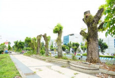 Belungguk Point, Pusat Tongkrongan Anak Muda Bengkulu